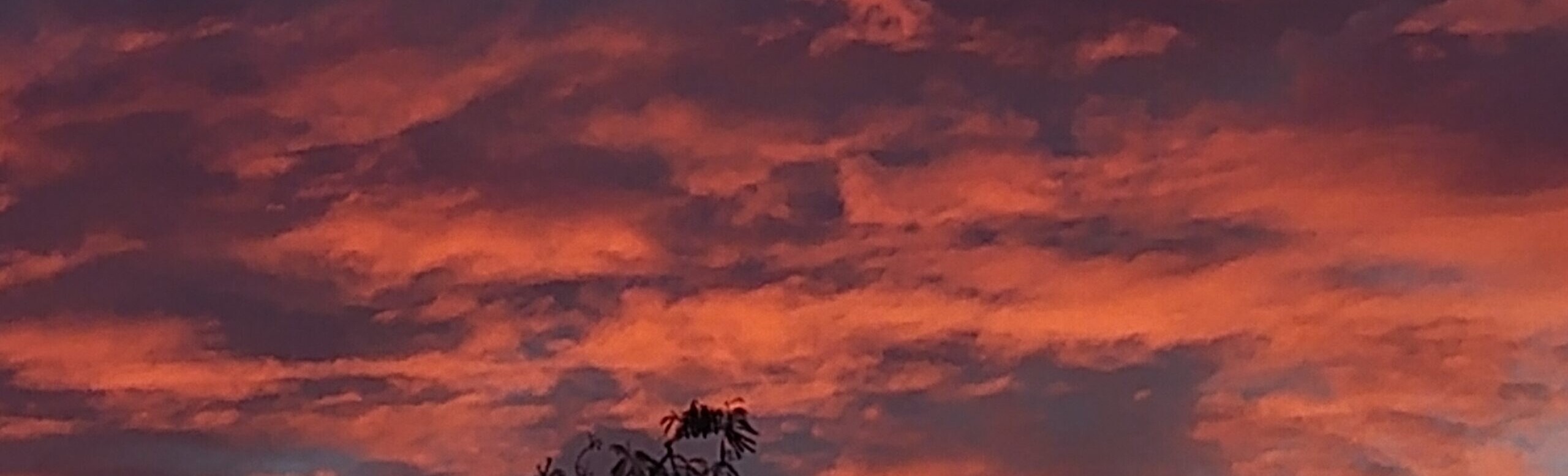 img 20260219 181057 476